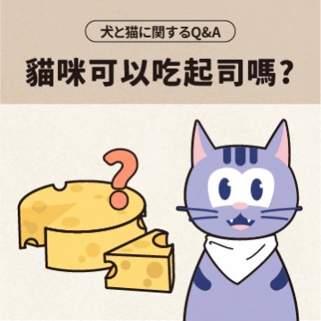 貓咪可以吃Doggyman Hello起司嗎?