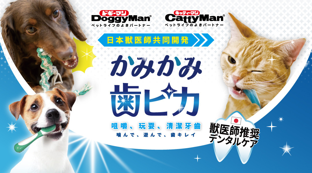 潔牙推薦