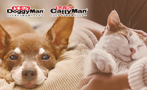 DoggyMan 品牌故事：從愛出發的寵物食品理念