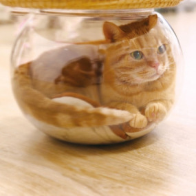 產品小圖