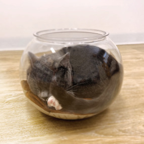 產品小圖