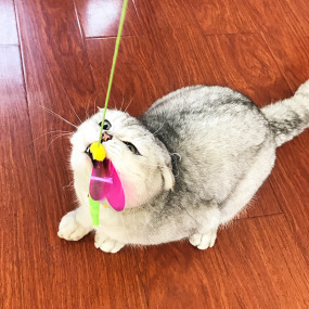產品小圖