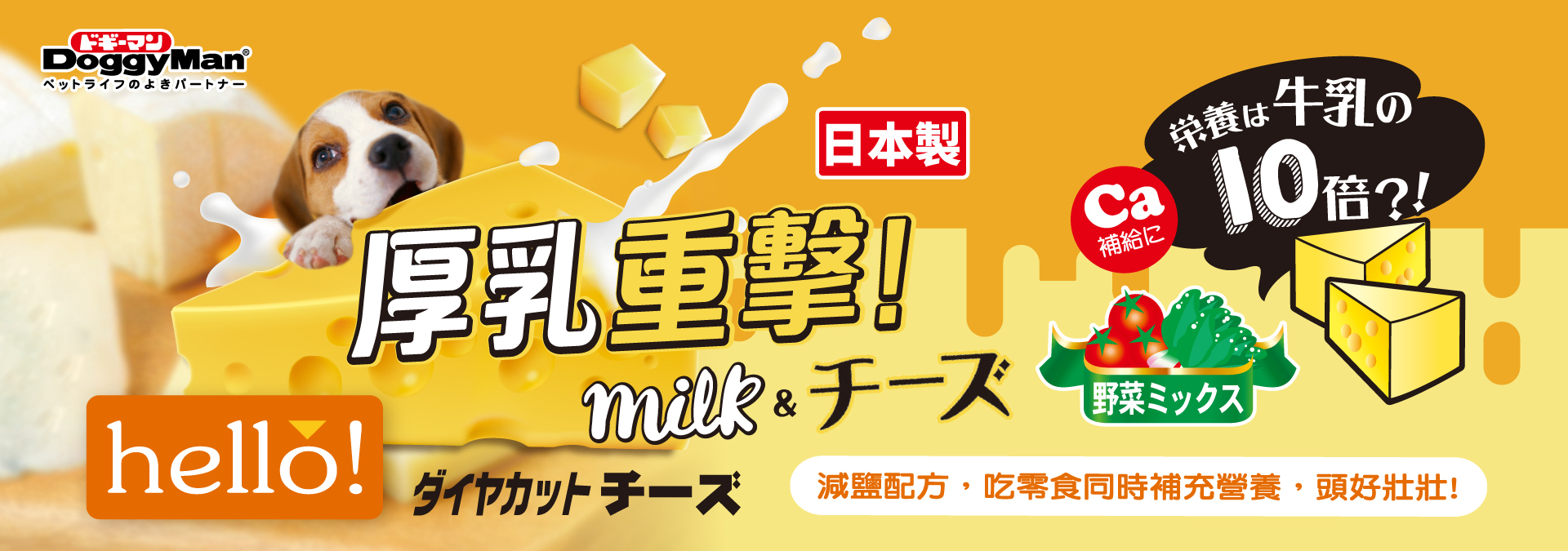 乳製品