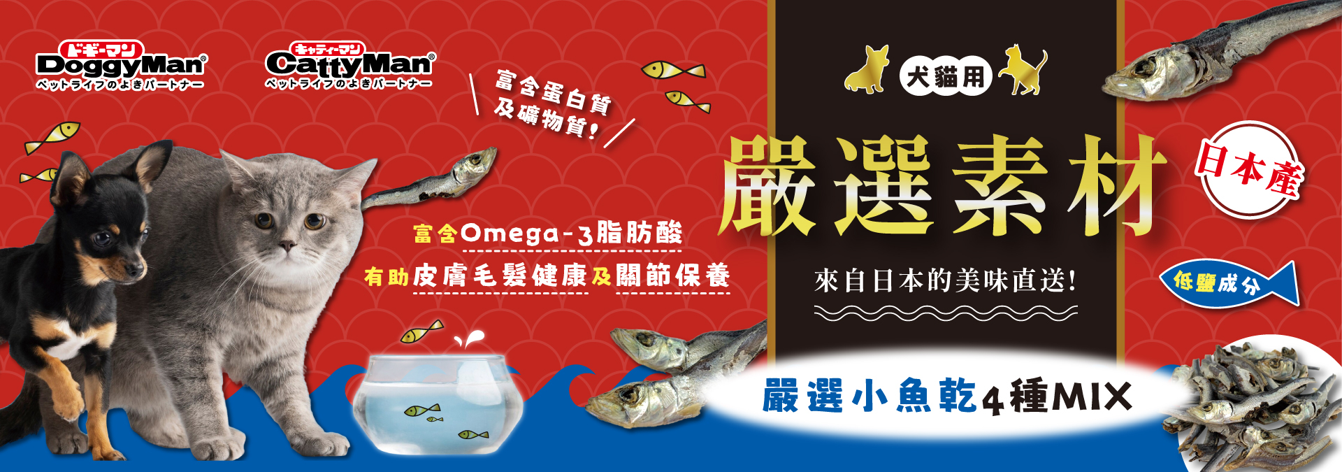 貓咪零食