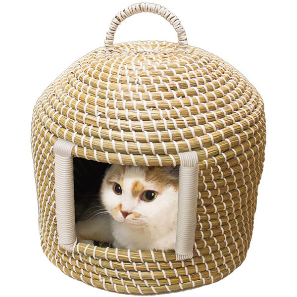 產品圖